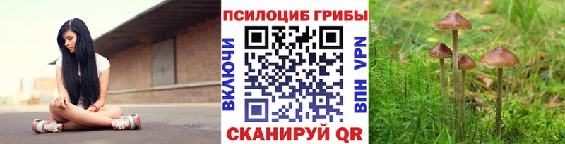 Галлюциногенные грибы Cubensis  Бакал 
